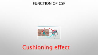 FUNCTION OF CSF
 