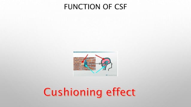 CSF.pptx