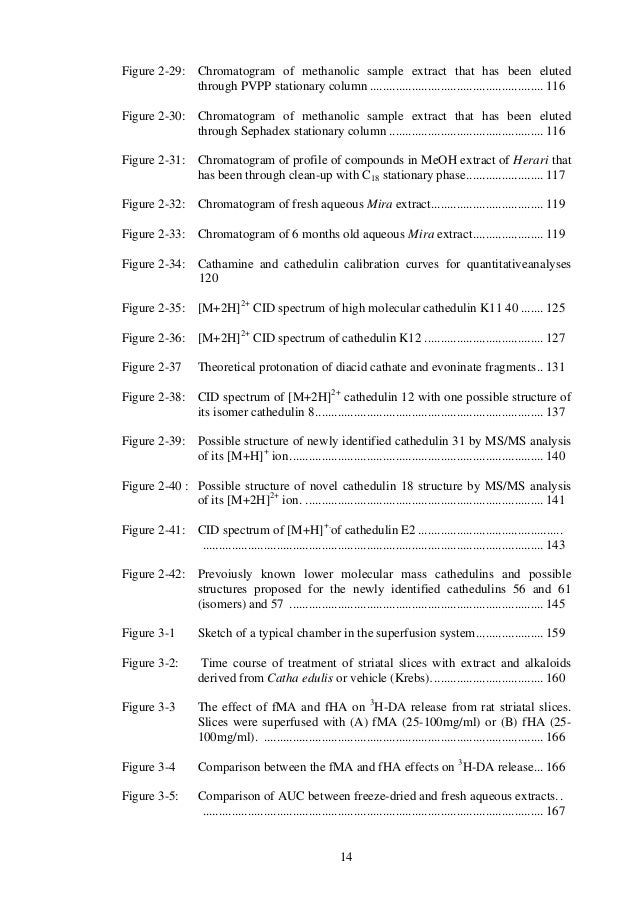Thesis muna 06 image