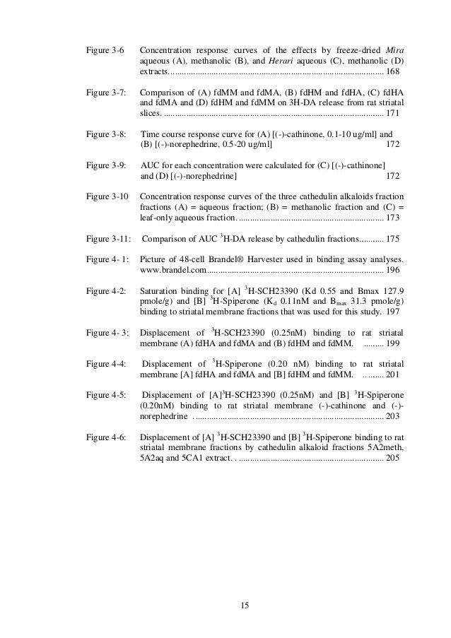 Thesis muna 08 image