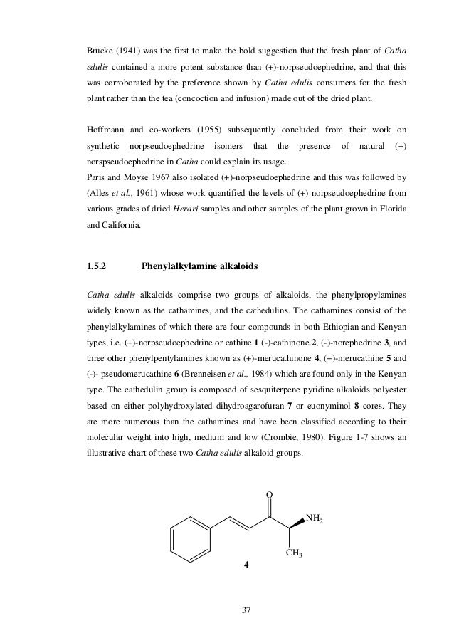 Dissertation vs thesis picture