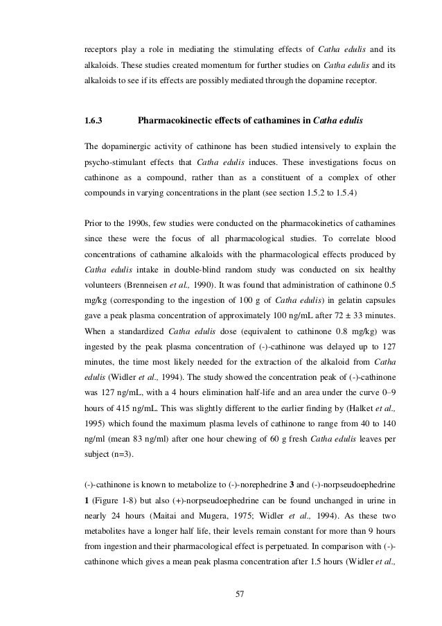 Thesis muna 07 picture