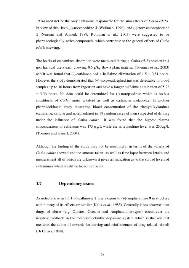 What is a dissertation picture