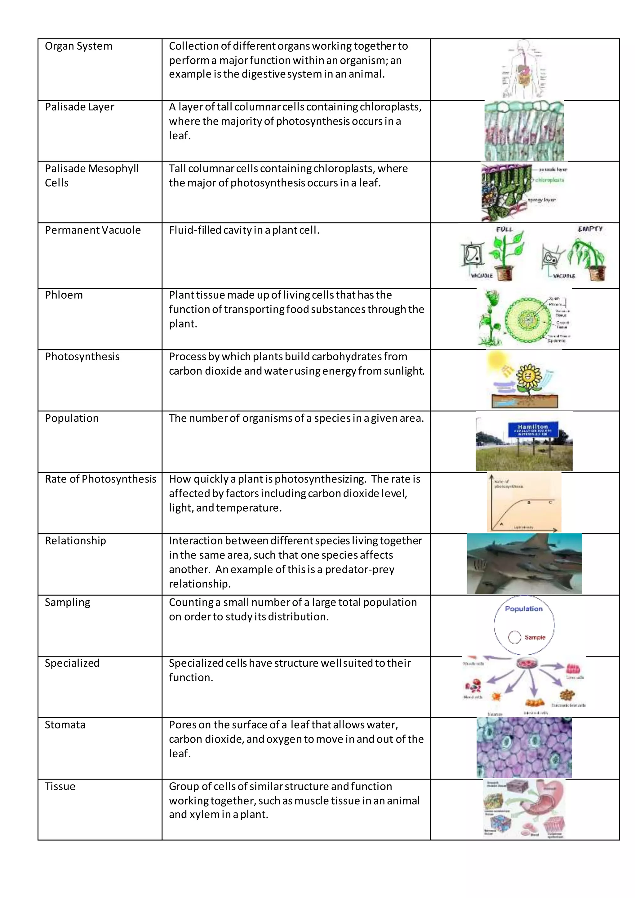 Organ System Collectionof differentorgansworking togetherto
performa majorfunctionwithinanorganism;an
example isthe digestivesysteminananimal.
Palisade Layer A layerof tall columnarcellscontainingchloroplasts,
where the majorityof photosynthesisoccursina
leaf.
Palisade Mesophyll
Cells
Tall columnarcellscontainingchloroplasts,where
the major of photosynthesisoccursina leaf.
PermanentVacuole Fluid-filledcavityinaplantcell.
Phloem Planttissue made upof livingcellsthathasthe
functionof transportingfoodsubstancesthroughthe
plant.
Photosynthesis Processbywhichplantsbuildcarbohydratesfrom
carbon dioxide andwaterusingenergyfromsunlight.
Population The numberof organismsof a speciesinagivenarea.
Rate of Photosynthesis How quicklyaplantisphotosynthesizing. The rate is
affectedbyfactorsincludingcarbondioxide level,
light,andtemperature.
Relationship Interactionbetweendifferentspecieslivingtogether
inthe same area,such that one speciesaffects
another. Anexample of thisisa predator-prey
relationship.
Sampling Countinga small numberof a large total population
on orderto studyitsdistribution.
Specialized Specializedcellshave structure wellsuitedtotheir
function.
Stomata Poreson the surface of a leaf thatallowswater,
carbon dioxide,andoxygentomove inandout of the
leaf.
Tissue Group of cellsof similarstructure andfunction
workingtogether,suchasmuscle tissue inananimal
and xyleminaplant.
 