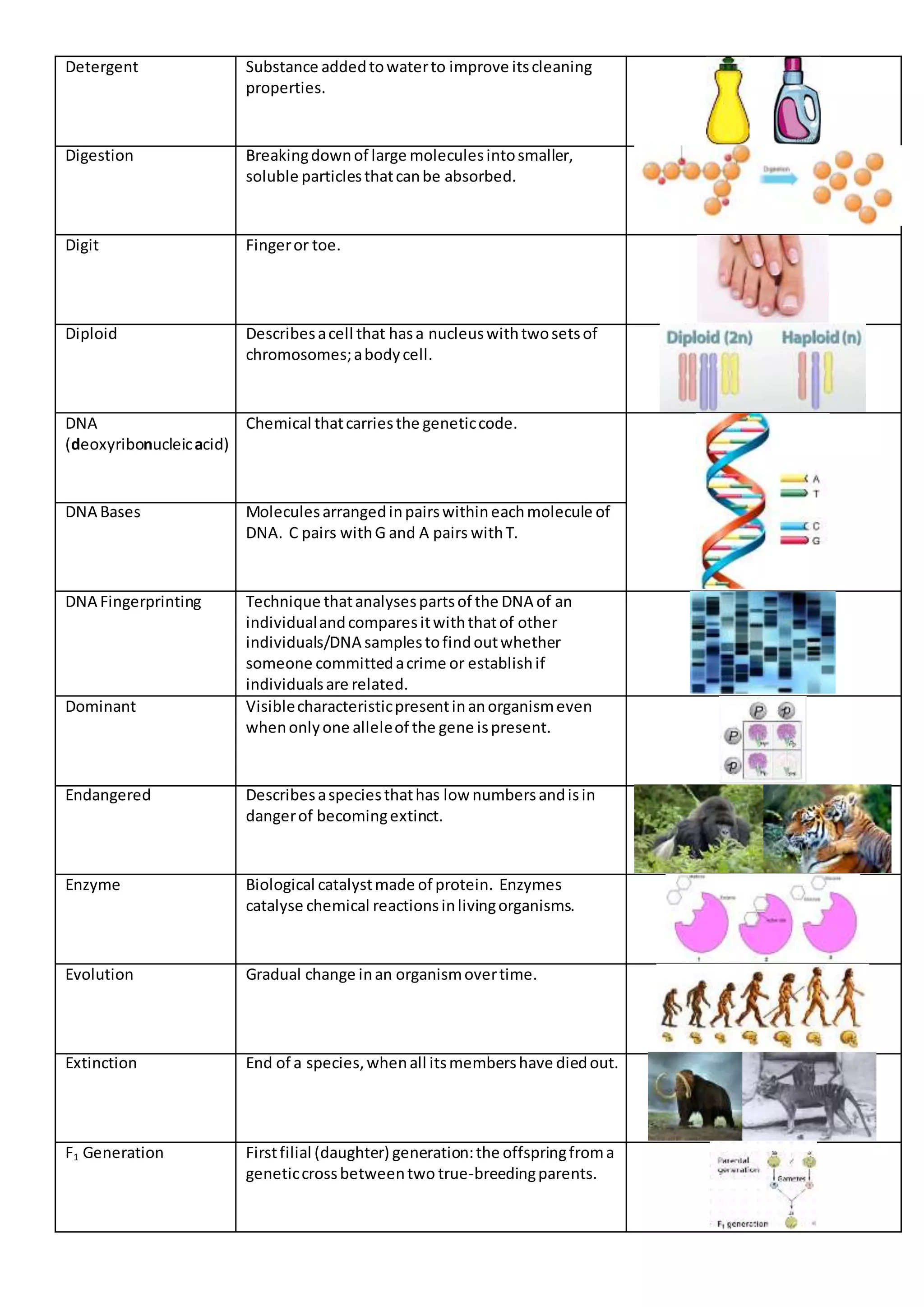 Detergent Substance addedtowaterto improve itscleaning
properties.
Digestion Breakingdownof large moleculesintosmaller,
soluble particlesthatcanbe absorbed.
Digit Fingeror toe.
Diploid Describesacell that hasa nucleuswithtwosetsof
chromosomes;abodycell.
DNA
(deoxyribonucleicacid)
Chemical thatcarriesthe geneticcode.
DNA Bases Moleculesarrangedinpairswithineachmolecule of
DNA. C pairs withG and A pairs withT.
DNA Fingerprinting Technique thatanalysespartsof the DNA of an
individualandcomparesitwiththatof other
individuals/DNA samplestofindoutwhether
someone committedacrime or establishif
individualsare related.
Dominant Visiblecharacteristicpresentinanorganismeven
whenonlyone alleleof the gene ispresent.
Endangered Describesaspeciesthathas low numbersandisin
dangerof becomingextinct.
Enzyme Biological catalystmade of protein. Enzymes
catalyse chemical reactionsinlivingorganisms.
Evolution Gradual change inan organismovertime.
Extinction End of a species,whenall itsmembershave diedout.
F1 Generation Firstfilial (daughter) generation:the offspringfroma
geneticcrossbetweentwo true-breedingparents.
 