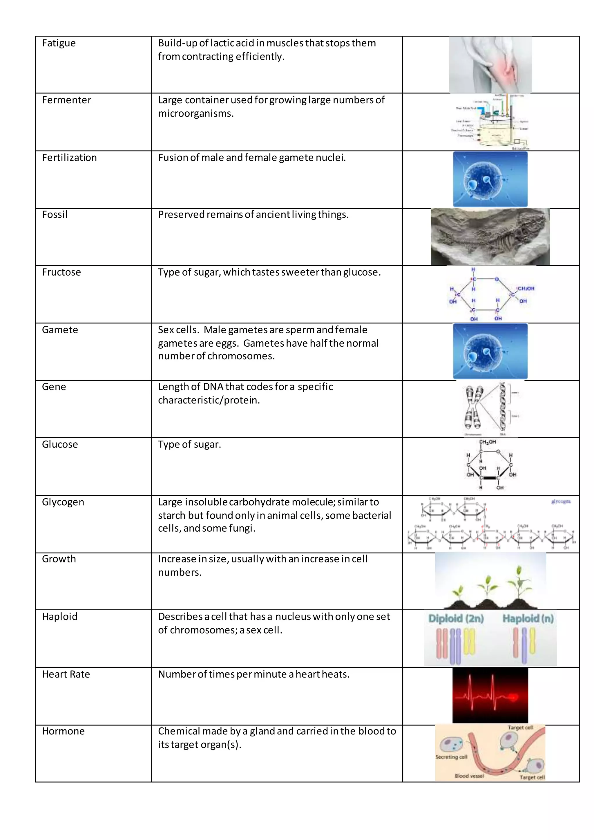 Fatigue Build-upof lacticacidinmusclesthatstopsthem
fromcontracting efficiently.
Fermenter Large containerusedforgrowinglarge numbersof
microorganisms.
Fertilization Fusionof male andfemale gamete nuclei.
Fossil Preservedremainsof ancientlivingthings.
Fructose Type of sugar,whichtastessweeterthanglucose.
Gamete Sex cells. Male gametesare spermandfemale
gametesare eggs. Gameteshave half the normal
numberof chromosomes.
Gene Lengthof DNA that codesfora specific
characteristic/protein.
Glucose Type of sugar.
Glycogen Large insolublecarbohydrate molecule;similarto
starch but foundonlyinanimal cells,some bacterial
cells,andsome fungi.
Growth Increase insize,usuallywithanincrease incell
numbers.
Haploid Describesacell that hasa nucleuswithonlyone set
of chromosomes;asex cell.
Heart Rate Numberof timesperminute aheartheats.
Hormone Chemical made bya glandand carriedinthe bloodto
itstarget organ(s).
 