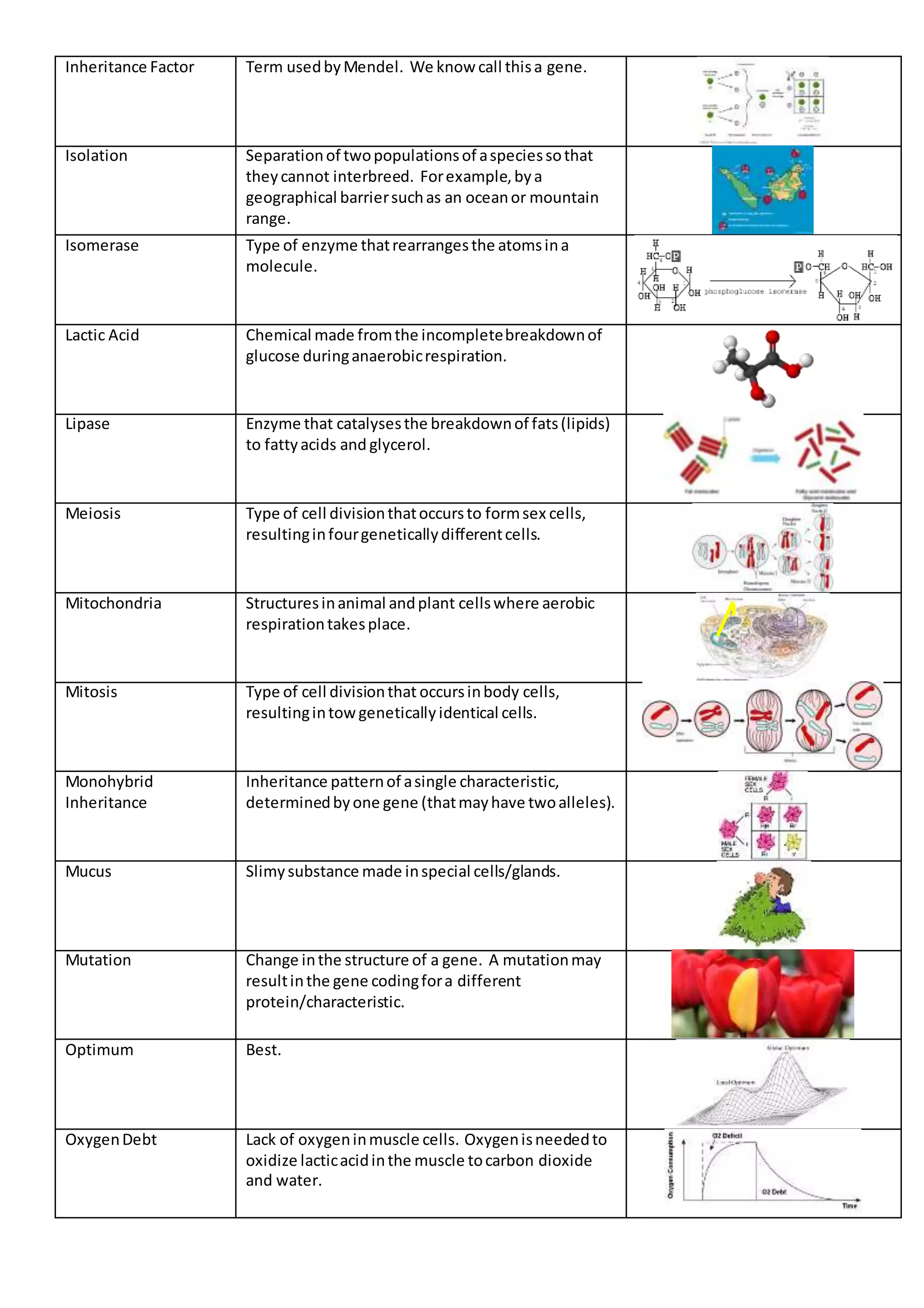 Inheritance Factor Term usedbyMendel. We know call thisa gene.
Isolation Separationof twopopulationsof aspeciessothat
theycannot interbreed. Forexample,bya
geographical barriersuchas an oceanor mountain
range.
Isomerase Type of enzyme thatrearrangesthe atomsina
molecule.
Lactic Acid Chemical made fromthe incompletebreakdownof
glucose duringanaerobicrespiration.
Lipase Enzyme that catalysesthe breakdownof fats(lipids)
to fattyacids and glycerol.
Meiosis Type of cell divisionthatoccursto formsex cells,
resultinginfourgeneticallydifferentcells.
Mitochondria Structuresinanimal andplant cellswhere aerobic
respirationtakesplace.
Mitosis Type of cell divisionthat occursinbody cells,
resultingintowgeneticallyidentical cells.
Monohybrid
Inheritance
Inheritance patternof asingle characteristic,
determinedbyone gene (thatmayhave twoalleles).
Mucus Slimysubstance made inspecial cells/glands.
Mutation Change inthe structure of a gene. A mutationmay
resultinthe gene codingfora different
protein/characteristic.
Optimum Best.
OxygenDebt Lack of oxygeninmuscle cells. Oxygenisneededto
oxidize lacticacidinthe muscle tocarbon dioxide
and water.
 