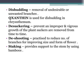 • Disbudding – removal of undesirable or
unwanted branches .
QXANTHIN is used for disbudding in
chrysnthemum.
• Desuckering – prevent an improper & vigrous
growth of the plant suckers are removed from
time to time.
• De-shooting – practised to reduce no. of
branches for improving size and form of flower .
• Staking – provides support to the stem by using
bamboos .
 