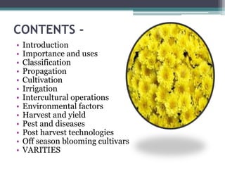 CONTENTS -
• Introduction
• Importance and uses
• Classification
• Propagation
• Cultivation
• Irrigation
• Intercultural operations
• Environmental factors
• Harvest and yield
• Pest and diseases
• Post harvest technologies
• Off season blooming cultivars
• VARITIES
 