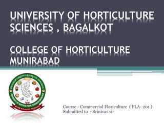 UNIVERSITY OF HORTICULTURE
SCIENCES , BAGALKOT
COLLEGE OF HORTICULTURE
MUNIRABAD
Course - Commercial Floriculture ( FLA- 201 )
Submitted to - Srinivas sir
 