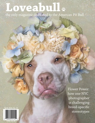 Loveabullthe only magazine dedicated to the Amercan Pit Bull
Flower Power:
how one NYC
photographer
is challenging
breed-specific
stereotypes
April 2016, Iss. 21
USD: $3.99
 