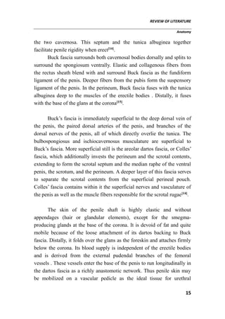 REVIEW OF LITERATURE
Anatomy
15
the two cavernosa. This septum and the tunica albuginea together
facilitate penile rigidity when erect[14]
.
Buck fascia surrounds both cavernosal bodies dorsally and splits to
surround the spongiosum ventrally. Elastic and collagenous fibers from
the rectus sheath blend with and surround Buck fascia as the fundiform
ligament of the penis. Deeper fibers from the pubis form the suspensory
ligament of the penis. In the perineum, Buck fascia fuses with the tunica
albuginea deep to the muscles of the erectile bodies . Distally, it fuses
with the base of the glans at the corona[15]
.
Buck’s fascia is immediately superficial to the deep dorsal vein of
the penis, the paired dorsal arteries of the penis, and branches of the
dorsal nerves of the penis, all of which directly overlie the tunica. The
bulbospongiosus and ischiocavernosus musculature are superficial to
Buck’s fascia. More superficial still is the areolar dartos fascia, or Colles’
fascia, which additionally invests the perineum and the scrotal contents,
extending to form the scrotal septum and the median raphe of the ventral
penis, the scrotum, and the perineum. A deeper layer of this fascia serves
to separate the scrotal contents from the superficial perineal pouch.
Colles’ fascia contains within it the superficial nerves and vasculature of
the penis as well as the muscle fibers responsible for the scrotal rugae[14]
.
The skin of the penile shaft is highly elastic and without
appendages (hair or glandular elements), except for the smegma-
producing glands at the base of the corona. It is devoid of fat and quite
mobile because of the loose attachment of its dartos backing to Buck
fascia. Distally, it folds over the glans as the foreskin and attaches firmly
below the corona. Its blood supply is independent of the erectile bodies
and is derived from the external pudendal branches of the femoral
vessels . These vessels enter the base of the penis to run longitudinally in
the dartos fascia as a richly anastomotic network. Thus penile skin may
be mobilized on a vascular pedicle as the ideal tissue for urethral
 