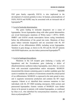 REVIEW OF LITERATURE
Hypospadias
24
FGF gene family, especially FGF10, is also implicated in the
development of external genitalia in mice. In humans, polymorphisms of
FGF8, FGF10 and FGFR2 may be associated with an increased risk of
hypospadias[18]
.
2- Level of testicular determination:
The genes leading to testicular dysgenesis are a cause of
hypospadias. Severe hypospadias along with other genital abnormalities
can reveal heterozygous mutations of Wilms tumor 1 (WT1). SOX9,
DMRT1 and GATA4 encode transcription factors acting immediately
before the differentiation of the gonad into testis. Mutations of these
genes induce testicular dysgenesis and are associated with 46, XY
disorders of sex differentiation (DSD), including severe hypospadias.
Variation in gene dosage, as shown in 46, XX and 46, XX d17 patients
with SOX9 duplication, can also induce penoscrotal hypospadias[18]
.
3- Level of androgen biosynthesis:
Mutations in the LH receptor gene (inducing a Leydig cell
hypoplasia) and the 5α-reductase gene (inducing a defect of
dihydrotestoterone synthesis) induce hypospadias, most often in a severe
form with associated cryptorchidism and/or micropenis. MAMLD1
(mastermind-like domain containing gene) is another candidate gene that
seems to modulate the synthesis of testosterone around the critical period
of sex differentiation. MAMLD1 is expressed in the male gonad in mice,
and it augments testosterone production and contains the SF1 target
sequence. Fukami et al. identified three nonsense mutations in four
individuals with 46, XY DSD including micropenis, bifid scrotum and
penoscrotal hypospadias. Genetic variants of MAMLD1 were further
shown to be present in patients with isolated hypospadias, as confirmed
by Chen et al., who identified five nonsynonymous mutations, some of
them as polymorphisms[18]
.
 