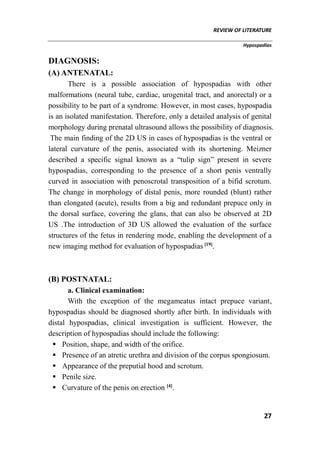 REVIEW OF LITERATURE
Hypospadias
27
DIAGNOSIS:
(A) ANTENATAL:
There is a possible association of hypospadias with other
malformations (neural tube, cardiac, urogenital tract, and anorectal) or a
possibility to be part of a syndrome. However, in most cases, hypospadia
is an isolated manifestation. Therefore, only a detailed analysis of genital
morphology during prenatal ultrasound allows the possibility of diagnosis.
The main finding of the 2D US in cases of hypospadias is the ventral or
lateral curvature of the penis, associated with its shortening. Meizner
described a specific signal known as a “tulip sign” present in severe
hypospadias, corresponding to the presence of a short penis ventrally
curved in association with penoscrotal transposition of a bifid scrotum.
The change in morphology of distal penis, more rounded (blunt) rather
than elongated (acute), results from a big and redundant prepuce only in
the dorsal surface, covering the glans, that can also be observed at 2D
US .The introduction of 3D US allowed the evaluation of the surface
structures of the fetus in rendering mode, enabling the development of a
new imaging method for evaluation of hypospadias [19]
.
(B) POSTNATAL:
a. Clinical examination:
With the exception of the megameatus intact prepuce variant,
hypospadias should be diagnosed shortly after birth. In individuals with
distal hypospadias, clinical investigation is sufficient. However, the
description of hypospadias should include the following:
 Position, shape, and width of the orifice.
 Presence of an atretic urethra and division of the corpus spongiosum.
 Appearance of the preputial hood and scrotum.
 Penile size.
 Curvature of the penis on erection [4]
.
 