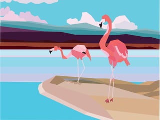 flamingosestelle