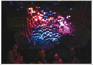 Pranay Patel Port Folio