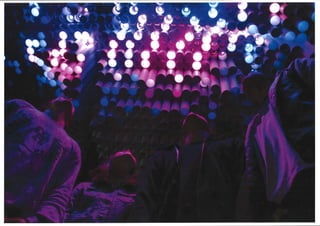 Pranay Patel Port Folio