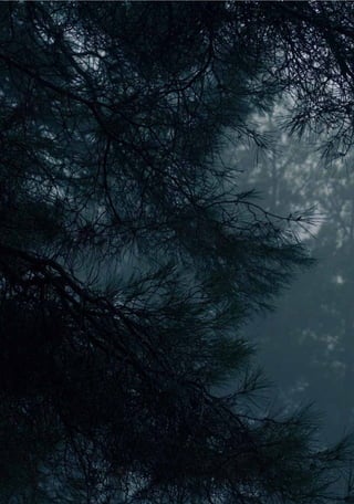 H A I R  E T C .
- 8 4 -
 