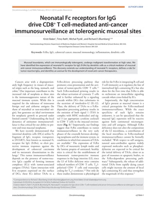 Author's View
www.landesbioscience.com	OncoImmunology	e27844-1
OncoImmunology 3, e27844; February 2014; © 2014 Landes Bioscience
Author's View
Cancers arise with a disproportion-
ately high frequency in tissues of muco-
sal origin such as the lung, stomach, and
colon.1
One important contributor to the
increased risk of neoplasia at these sites
is the immunosuppressive nature of the
mucosal immune system. While this is
required for the tolerance of innocuous
foreign oral and airborne antigens (be
them of microbial or non-microbial ori-
gin), but generates an ideal environment
for neoplastic growth to proceed under
limited control.2
Understanding the local
dynamics of antitumor immunosurveil-
lance is thus critical for our ability to pre-
vent and treat mucosal neoplasms.
We have recently demonstrated that
intestinal dendritic cells (DCs) utilize Fc
fragment of IgG, receptor, transporter,
α (FCGRT), best known as neonatal Fc
receptor for IgG (FcRn), to elicit pro-
tective immune responses against the
development of colorectal carcinoma
and its metastatic dissemination to the
lungs.1
This tumor immunosurveillance
depends on the presence of tumor-reac-
tive IgGs capable of forming immune
complexes (ICs) with tumor-associated
antigens (TAAs). Upon interaction with
Fcγ receptors expressed on the surface
of DCs, these ICs deliver TAAs to a
FcRn-driven processing pathway that
promotes cross-presentation and the acti-
vation of tumor-specific CD8+
T cells.1,3
Such FcRn-mediated priming results in
the robust activation of cytotoxic T cells
and is further enhanced by a signaling
cascade within DCs that culminates in
the secretion of interleukin-12 (IL-12).
Thus, the delivery of TAAs to a FcRn-
dependent processing pathway results in
the emission of both signal 1 (TAA in
complex with MHC molecules) and sig-
nal 3 (an appropriate cytokine cocktail)
to CD8+
T cells in the mucosal environ-
ment (Fig. 1).4
Importantly, our findings
suggest that FcRn contributes to tumor
immunosurveillance in the very early
phases of the crosstalk between develop-
ing neoplasms and the immune system, in
conditions in which low amounts of TAAs
are available.5
The expression of FcRn
by DCs of mesenteric lymph nodes and
the lamina propria of untreated, healthy
mice is critical for the establishment of
homeostatic tumor-protective immune
responses in the large intestine (LI), since
the LI of FcRn deficient mice contains
reduced numbers of CD8+
T cells, TH
1-
polarized CD4+
T cells and transcripts
coding for TH
1 cytokines.1,6
Not only do
these studies demonstrate a physiological
role for the FcRn in integrating B-cell and
T-cell immunity as it regulates the fate of
internalized IgG-containing ICs but also
show for the first time that FcRn is able
to orchestrate an intracellular signaling
cascade when cross-linked by ICs.
Importantly, the high concentration
of IgGs present at mucosal tissues is a
critical prerequisite for FcRn-mediated
immunosurveillance. While the exact
specificity of such IgGs remains
unknown, it can be speculated that the
mucosal IgG repertoire will be reactive
against both commensal microorgan-
isms and self antigens. Although FcRn
deficiency does not alter the composition
of the LI microbiota, a contribution of
the local microflora to FcRn-mediated
immunosurveillance cannot be formally
excluded.7
With respect to self antigens,
natural auto-antibodies against widely
expressed molecules such as phosphati-
dylserine are expected to be critical for
the initial delivery of TAAs, alone or as
part of exosomes or apoptotic bodies, to
the FcRn-dependent processing path-
ways.8
Subsequently, the release of addi-
tional TAAs from rapidly dying cancer
cells might increase the amount of local
IgG-containing ICs and thus strengthen
the magnitude of this response.9
*Correspondence to: Richard S Blumberg; Email: rblumberg@partners.org; Kristi Baker; Email: kbaker@partners.org
Submitted: 01/03/2014; Accepted: 01/14/2014; Published Online: 02/14/2014
Citation: Baker K, Rath T, Pyzik M, Blumberg RS. Neonatal Fc receptors for IgG drive CD8+ T cell-mediated anticancer immunosurveillance at tolerogenic mucosal
sites. OncoImmunology 2014; 3:e27844; http://dx.doi.org/10.4161/onci.27844
Neonatal Fc receptors for IgG
drive CD8+
T cell-mediated anti-cancer
immunosurveillance at tolerogenic mucosal sites
Kristi Baker1
, Timo Rath1
, Michal Pyzik1
, and Richard S Blumberg1,2,
*
1
Gastroenterology Division; Department of Medicine; Brigham and Women’s Hospital; Harvard Medical School; Boston, MA USA;
2
Harvard Digestive Diseases Center; Boston, MA USA
Keywords: FcRn, IgG, colorectal cancer, mucosal immunology, inflammation, dendritic cells
Mucosal boundaries, which are immunologically tolerogenic, undergo malignant transformation at high rates. We
have identified the expression of neonatal Fc receptor for IgG (FcRn) by dendritic cells as a critical mediator of mucosal
anti-cancer immunosurveillance. This discovery extends our understanding of neonatal Fc receptors, defines a role for
tumor-reactive IgGs, and identifies an avenue for the development of novel anti-cancer therapeutics.
 