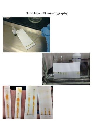 Thin	
 Layer	
 Chromatography	
 
	
 
	
 
	
 
	
  	
 
 