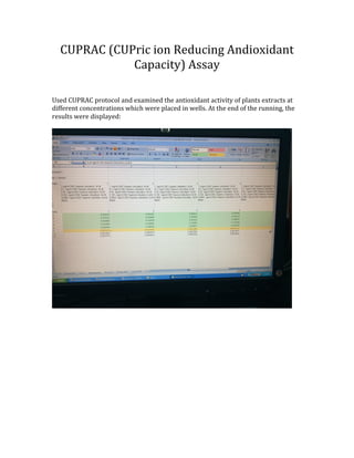 CUPRAC	
 (CUPric	
 ion	
 Reducing	
 Andioxidant	
 
Capacity)	
 Assay	
 
	
 
	
 
	
 
Used	
 CUPRAC	
 protocol	
 and	
 examined	
 the	
 antioxidant	
 activity	
 of	
 plants	
 extracts	
 at	
 
different	
 concentrations	
 which	
 were	
 placed	
 in	
 wells.	
 At	
 the	
 end	
 of	
 the	
 running,	
 the	
 
results	
 were	
 displayed:	
 	
 
	
 
	
 
	
  	
 
 