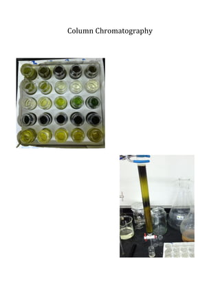 Column	
 Chromatography	
 
	
 
	
 
	
  	
 
 