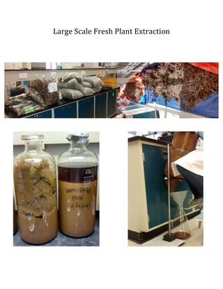 Large	
 Scale	
 Fresh	
 Plant	
 Extraction	
 
	
 
	
 
	
 
	
 
	
 
	
 
	
 
	
 
	
 
	
 
	
 
	
 
	
 
	
 
	
 
	
 
	
 
	
 
	
 
	
 
	
 
	
 
	
 
	
 
	
 
	
 
	
 
	
 
	
 
	
 
	
 
	
 
	
 
 