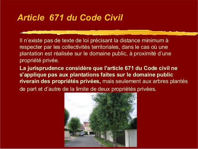 Matinée de l'arbre du 04/12/2015 : la projection