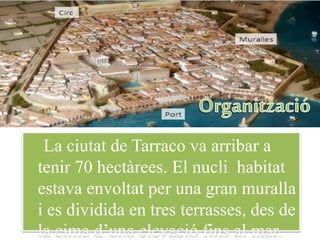 La ciutat de Tarraco va arribar a
tenir 70 hectàrees. El nucli habitat
estava envoltat per una gran muralla
i es dividida en tres terrasses, des de
la cima d’una elevació fins al mar.
 