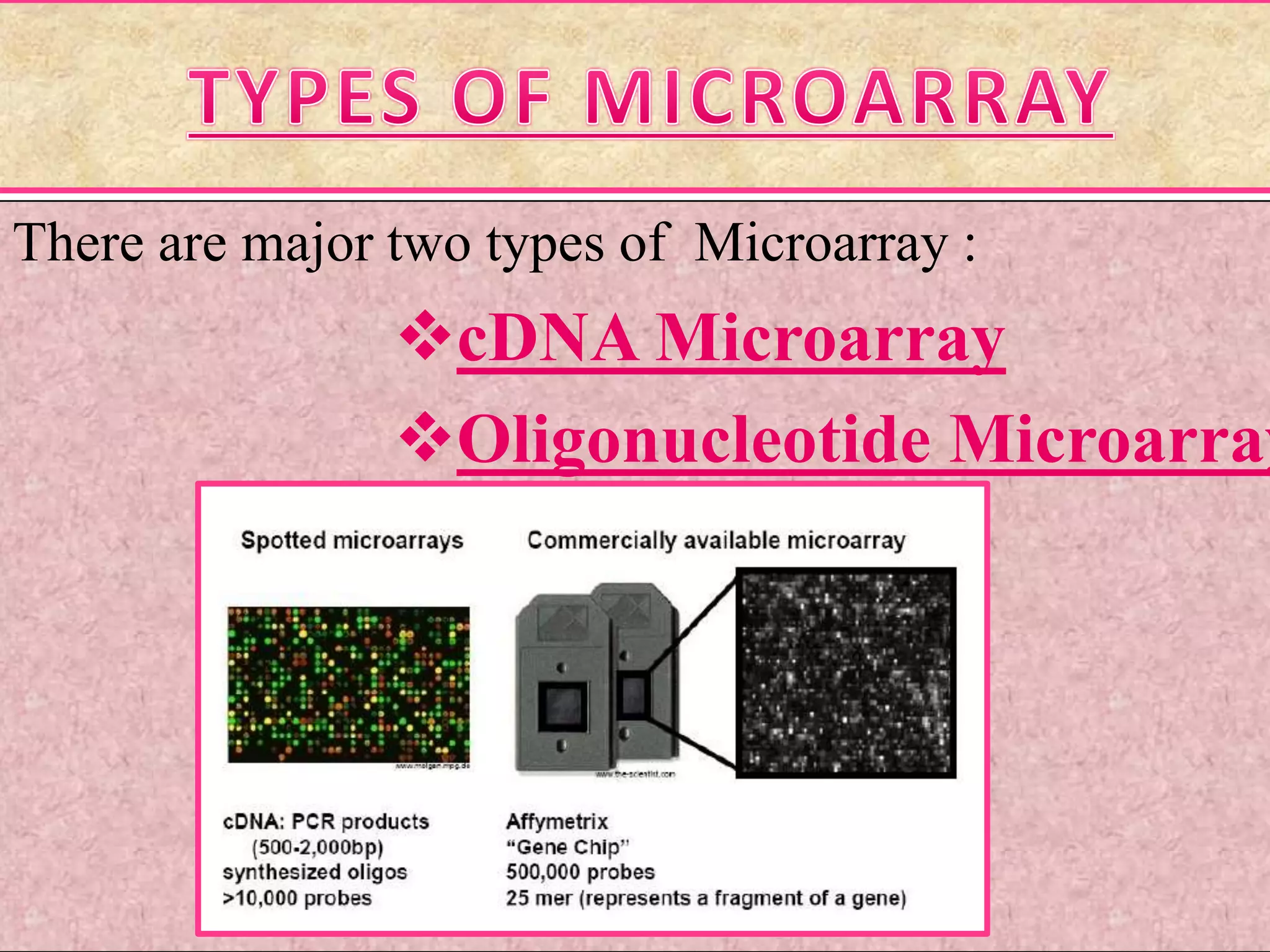 There are major two types of Microarray :
cDNA Microarray
Oligonucleotide Microarray
 
