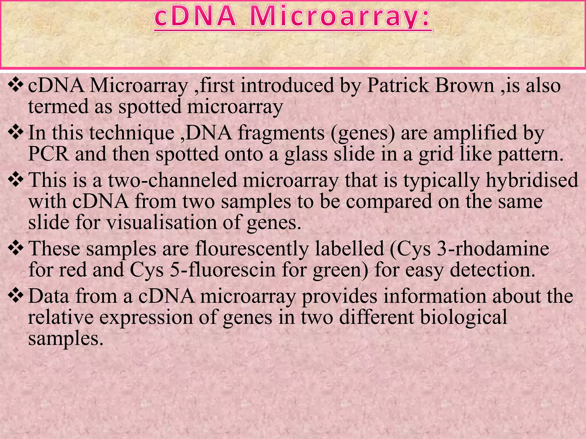 cDNA Microarray ,first introduced by Patrick Brown ,is also
termed as spotted microarray
In this technique ,DNA fragments (genes) are amplified by
PCR and then spotted onto a glass slide in a grid like pattern.
This is a two-channeled microarray that is typically hybridised
with cDNA from two samples to be compared on the same
slide for visualisation of genes.
These samples are flourescently labelled (Cys 3-rhodamine
for red and Cys 5-fluorescin for green) for easy detection.
Data from a cDNA microarray provides information about the
relative expression of genes in two different biological
samples.
 