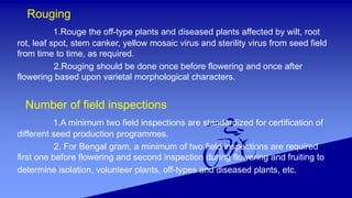 Foundation and certified seed production of Black gram, Green gram and ...