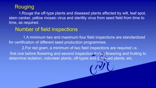 Foundation and certified seed production of Black gram, Green gram and ...