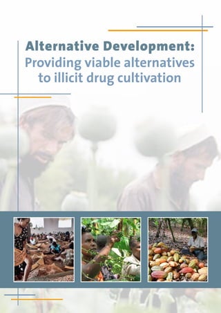 Alternative Development:
Providing viable alternatives
to illicit drug cultivation
 