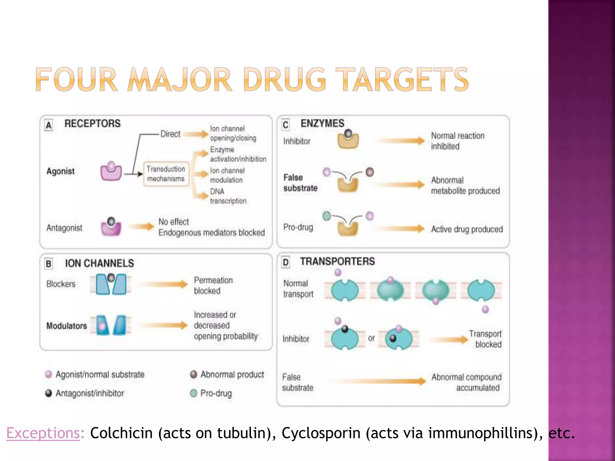 Ion channels as drug target | PPTX