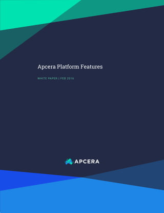 Apcera Platform Features
WHITE PAPER | FEB 2016
 
