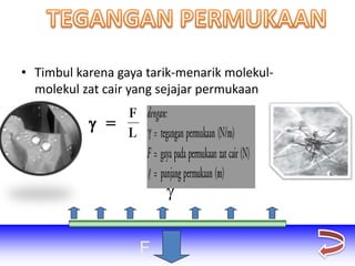 • Timbul karena gaya tarik-menarik molekul-
molekul zat cair yang sejajar permukaan

F
 
