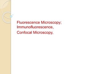 Fluorescence Microscopy;
Immunofluorescence,
Confocal Microscopy,
 