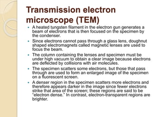 Transmission electron
microscope (TEM)
 A heated tungsten filament in the electron gun generates a
beam of electrons that is then focused on the specimen by
the condenser.
 Since electrons cannot pass through a glass lens, doughnut
shaped electromagnets called magnetic lenses are used to
focus the beam.
 The column containing the lenses and specimen must be
under high vacuum to obtain a clear image because electrons
are deflected by collisions with air molecules.
 The specimen scatters some electrons, but those that pass
through are used to form an enlarged image of the specimen
on a fluorescent screen.
 A denser region in the specimen scatters more electrons and
therefore appears darker in the image since fewer electrons
strike that area of the screen; these regions are said to be
“electron dense.” In contrast, electron-transparent regions are
brighter.
 