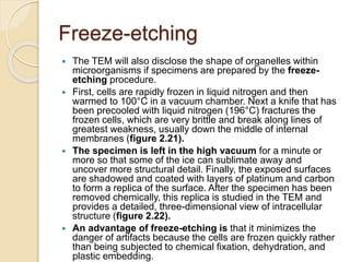 Freeze-etching
 The TEM will also disclose the shape of organelles within
microorganisms if specimens are prepared by the freeze-
etching procedure.
 First, cells are rapidly frozen in liquid nitrogen and then
warmed to 100°C in a vacuum chamber. Next a knife that has
been precooled with liquid nitrogen (196°C) fractures the
frozen cells, which are very brittle and break along lines of
greatest weakness, usually down the middle of internal
membranes (figure 2.21).
 The specimen is left in the high vacuum for a minute or
more so that some of the ice can sublimate away and
uncover more structural detail. Finally, the exposed surfaces
are shadowed and coated with layers of platinum and carbon
to form a replica of the surface. After the specimen has been
removed chemically, this replica is studied in the TEM and
provides a detailed, three-dimensional view of intracellular
structure (figure 2.22).
 An advantage of freeze-etching is that it minimizes the
danger of artifacts because the cells are frozen quickly rather
than being subjected to chemical fixation, dehydration, and
plastic embedding.
 
