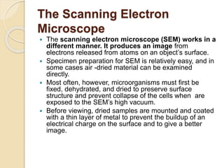 The Scanning Electron
Microscope
 The scanning electron microscope (SEM) works in a
different manner. It produces an image from
electrons released from atoms on an object’s surface.
 Specimen preparation for SEM is relatively easy, and in
some cases air -dried material can be examined
directly.
 Most often, however, microorganisms must first be
fixed, dehydrated, and dried to preserve surface
structure and prevent collapse of the cells when are
exposed to the SEM’s high vacuum.
 Before viewing, dried samples are mounted and coated
with a thin layer of metal to prevent the buildup of an
electrical charge on the surface and to give a better
image.
 