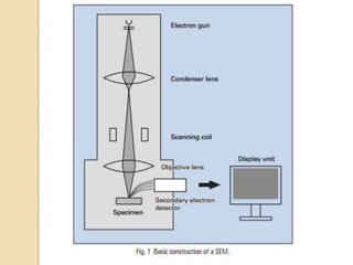 Unit – 2 Microscopy