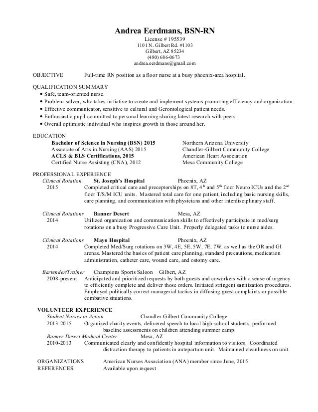 Andrea Eerdmans Resume