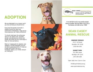 WINDSOR TERRACE
Open daily from 11am to 7pm
info@nyanimalrescue.org
www.nyanimalrescue.org
153 E. 3rd Street
Brooklyn, NY 11218
(718) 436-5163
SUNSET PARK
551 39th Street
Brooklyn, NY 11232
(347) 599-1500
A no-kill 501(c)(3) non-profit animal
rescue shelter serving New York City’s
homeless animals since 1998
We are dedicated to our mission and if
you love animals you should be too!
Every day thousands of animals in
shelters across the nation are
euthanized unnecessarily. There are so
many ways you can make a difference!
To directly help lower the euthanasia
rate you can adopt a pet, volunteer,
donate, and educate your family and
friends. But those are just a few ways to
help, for more just ask us.
Meet our newest pets for adoption, see
updates on SCAR graduates and find
out about upcoming events. To keep up
to date with SCAR, like us on
Facebook, follow us on Twitter and join
our mailing list.
 