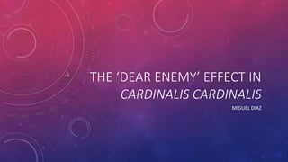 THE ‘DEAR ENEMY’ EFFECT IN
CARDINALIS CARDINALIS
MIGUEL DIAZ
 