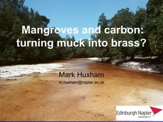 Mangroves and carbon:
turning muck into brass?
Mark Huxham
m.huxham@napier.ac.uk
 