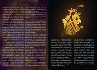 Hablamos de momentos muy per-
sonales donde el fuego se involu-
cra, y ya que hablamos de llamas
y cercanía, pocas cosas son tan
personales como las fogatas. Co-
nocidos o desconocidos por cono-
cerse, formando un círculo, hipno-
tizados por el rojo/amarillo que se
mueve como un gas pero que lasti-
ma como la piedra más grande. Es
un círculo casi perfecto, en donde
un paso hacia adentro y te estás
quemando, pero uno hacia afuera
y el frío comienza a helarte el cere-
bro. Después de todo tenemos que
aceptar que las fogatas tienen dos
características; son momentos de
gran sensibilidad social; y (para de-
jar una vez más del lado lo románti-
co) se hacen— generalmente— en
invierno.
Por qué en épocas de frío, por-
que está inscrito en nuestros genes
evolutivos o porque Dios nos puso
en el instinto, que formar círculos
alrededor de fogatas es algo que
se hace durante el invierno (repe-
titivo). Ahora que es justo la épo-
ca de poco sol y mucho viento de
baja temperatura, creemos muy
prudente recomendarles algunos
lugares cercanos a Tequis que
pueden conocer y que son per-
fectos para disfrutar de una fogata
y de paso seguirte con los esce-
narios naturales que son los mejo-
res acompañantes de la leña y el
fuego (con todas las precauciones
debidas por supuesto).
Aquí están (aunque no olviden que
Tequis también es perfecto para
armarte una rueda con centro de
fuego):
Amealco- No hay discusión, dentro
del estado de Querétaro, Amealco
es el lugar ideal para visitar si quie-
res “echar” cabaña (y lo que eso
implica). Un bosque espeso y frío a
una hora de Tequisquiapan donde
la fogata y el pulque serán tus me-
jores compañeros.
Huimilpan- También conocido
como el municipio al que l*s cha-
val*s van a “buscar hongos” para
encontrarse en su perdición (bue-
no una cosa es espiritualidad, pero
otra es echar desmadre), Huimilpan
es vecino de bosques de Amealco,
a tan sólo una hora de Querétaro y
dos de Tequis.
Bernal- Bernal es el vecino favorito
de Tequis, podría ser nuestro her-
mano menor o nuestro hijo consen-
tido. Con una majestuosa peña,
la belleza de su arquitectura y los
espacios alrededor de la tremenda
piedra son escenario dignos para
prender una fogata.
Peñamiller- Un municipio poco po-
blado, con maravillas naturales y
culturales que llenan los espacios
que algunos consideran vacíos.
Perfecto para senderismo inter-
pretativo, montañismo, campis-
mo y su consecuencia, la fogata.
Cadereyta- Pocas veces verás
tanta variedad de cactáceas, al
natural y en viveros como en este
municipio. Una joya a la mitad
de semi desierto queretano que
invita a llenar de calor el frío del
clima más inestable de todo el
mundo (nos referimos al desierto).
San Joaquín- San Joaquín es la puer-
ta de la Sierra Gorda. Aparte de bos-
quesdeconíferasyunfríoquesólolos
machines aguantan, tiene parque
perfectos para acampar.
Pinal de Amoles- Ya entrados en la
Sierra Gorda, Pinal de Amoles es un
municipio donde la cristalina y frígi-
da cascada del Chuveje es sólo el
principio de un caliente invierno (si
lo acompañas con fogatas) un ex-
celente recorrido al natural.
Jalpan- Camino a Concá y Río
Verde, a las orillas del Puente
Ayutla donde se une el Río Ayut-
la y el Río Santa María (uno frío y
otro caliente), hay espacio para
vivir unas magníficas fogatas
acompañadas de buen Huapan-
go y un chapuzón. (no es mas fa-
mos el huepango en san joaqui?).
 