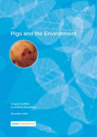 Pigs and the Environment
A report to BPEX
by Anthony Kleanthous
December 2009
 