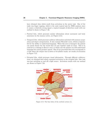 28 Chapter 2. Functional Magnetic Resonance Imaging (fMRI)
have obtained data which result from activation in the motor task. One of the
tasks was ﬁnger tapping, which is the most typical task for fMRI analyses since
it causes a relatively strong signal; a typical example of detection result with our
method is shown in Figure 7.46.
→ Parietal lobe, which processes mainly information about movement and body
awareness (in the sensory cortex, see Figure 2.15).
→ Temporal lobe, which processes auditory information and deals with memory acqui-
sition and object categorization. It also contains Wernicke’s area, which is responsi-
ble for the ability to understand language. When this area is damaged, the patient
can speak clearly but the words that are put together make no sense. This is in
contrast to a damage in Broca’s area, in which case the patient can still understand
language but cannot produce speech. One of our processed data sets corresponds to
a task where the subject has to listen to bi-syllabic words: see results of activation
in Figure 7.57.
→ Occipital lobe, which processes visual information. Through diﬀerent collabora-
tions, we obtained data which contained activation in the occipital lobe. One task
was just switching on and oﬀ a light source. Activation results with our method
are shown in Figure 7.56.
Figure 2.15: The four lobes of the cerebral cortices [1].
 