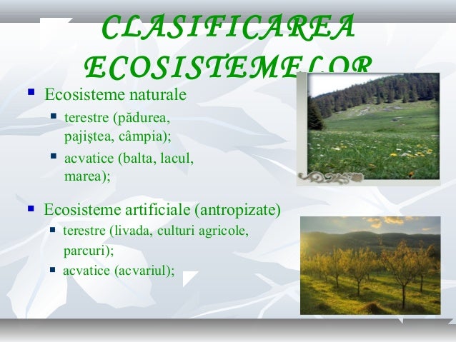 0 ecosistemul cls_viii (1)